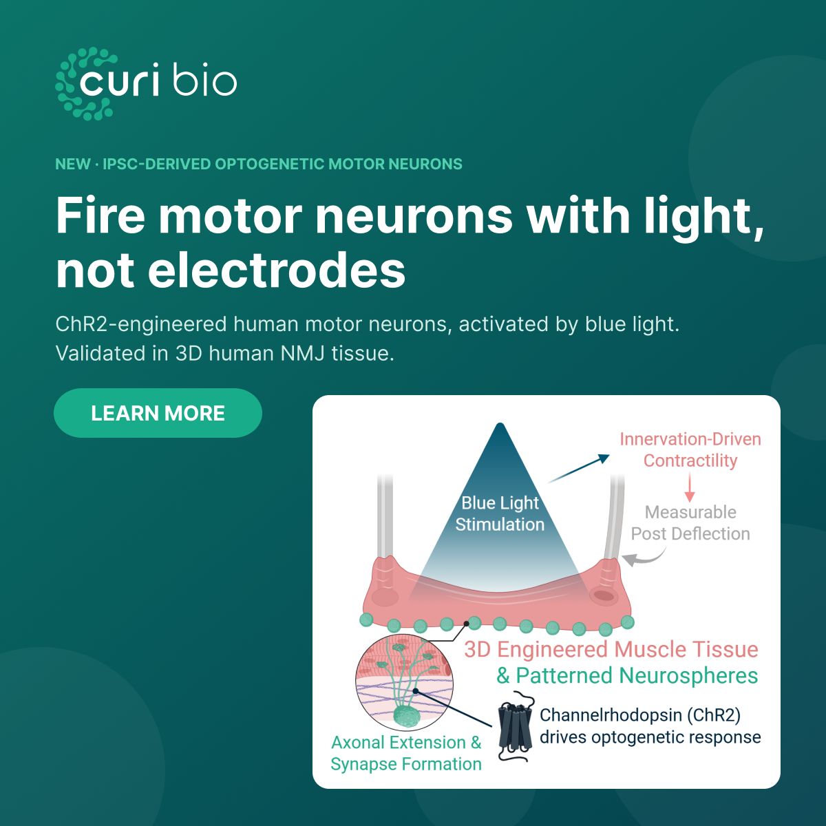 Curi Bio ad