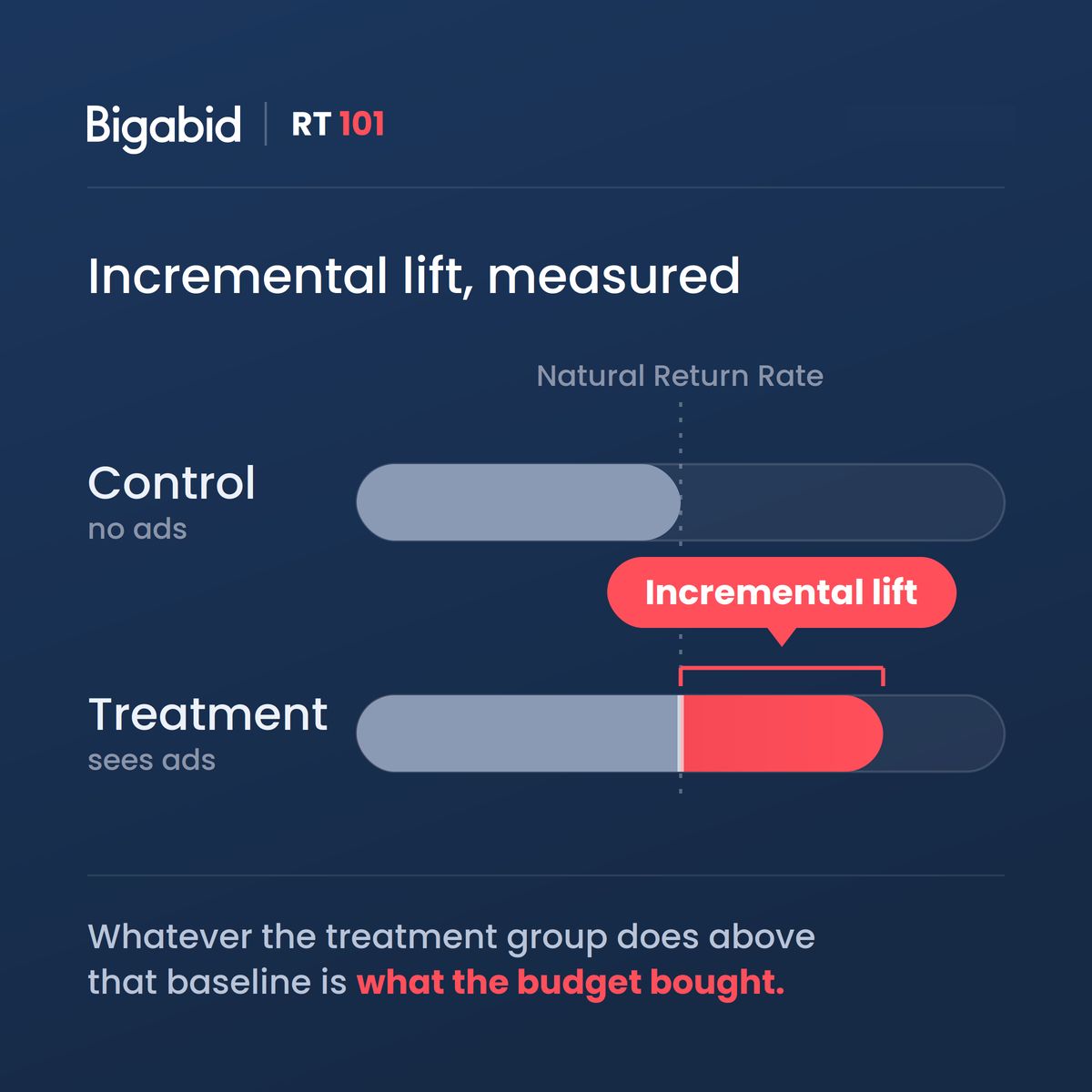 Bigabid ad