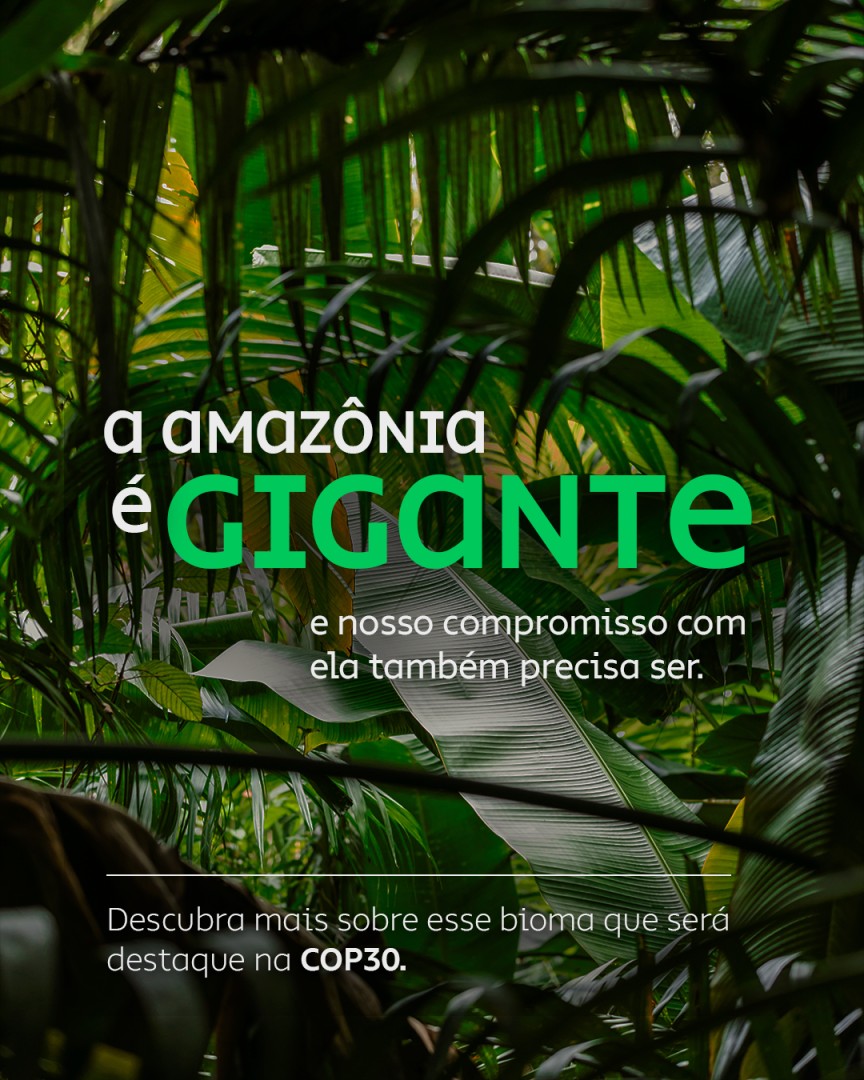 Suzano ad