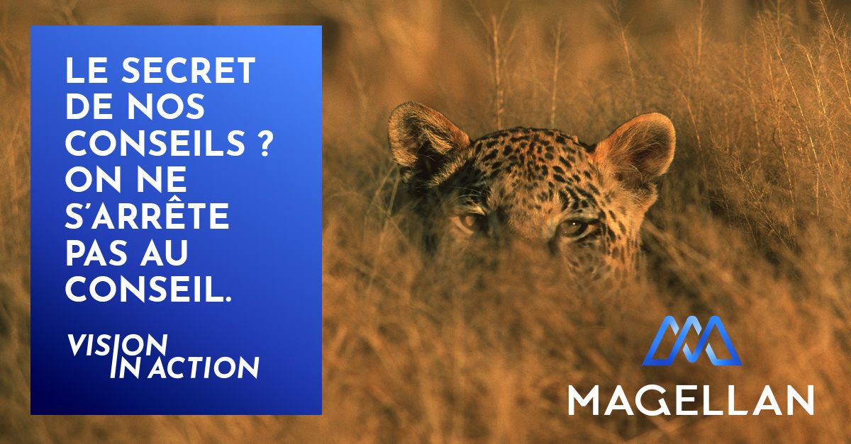 Magellan ad