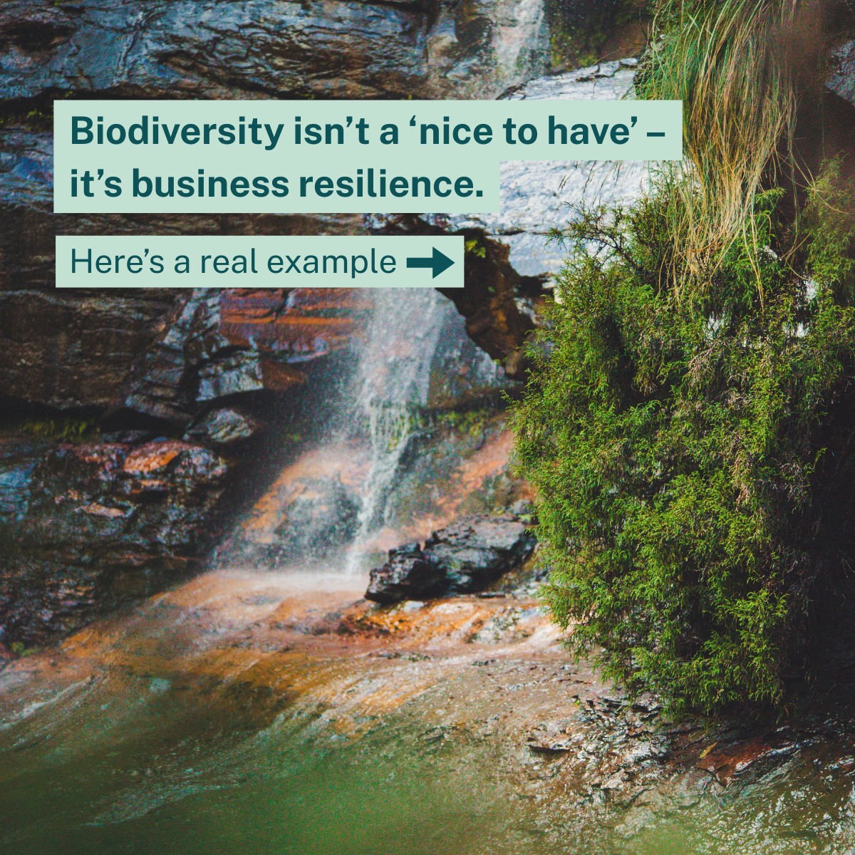 NSW Department of Climate Change, Energy, the Environment and Water ad