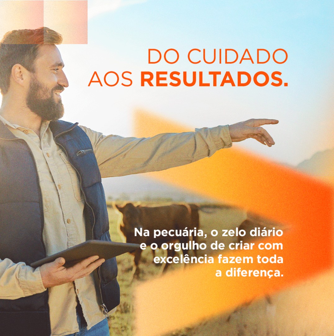 Coaliza ad