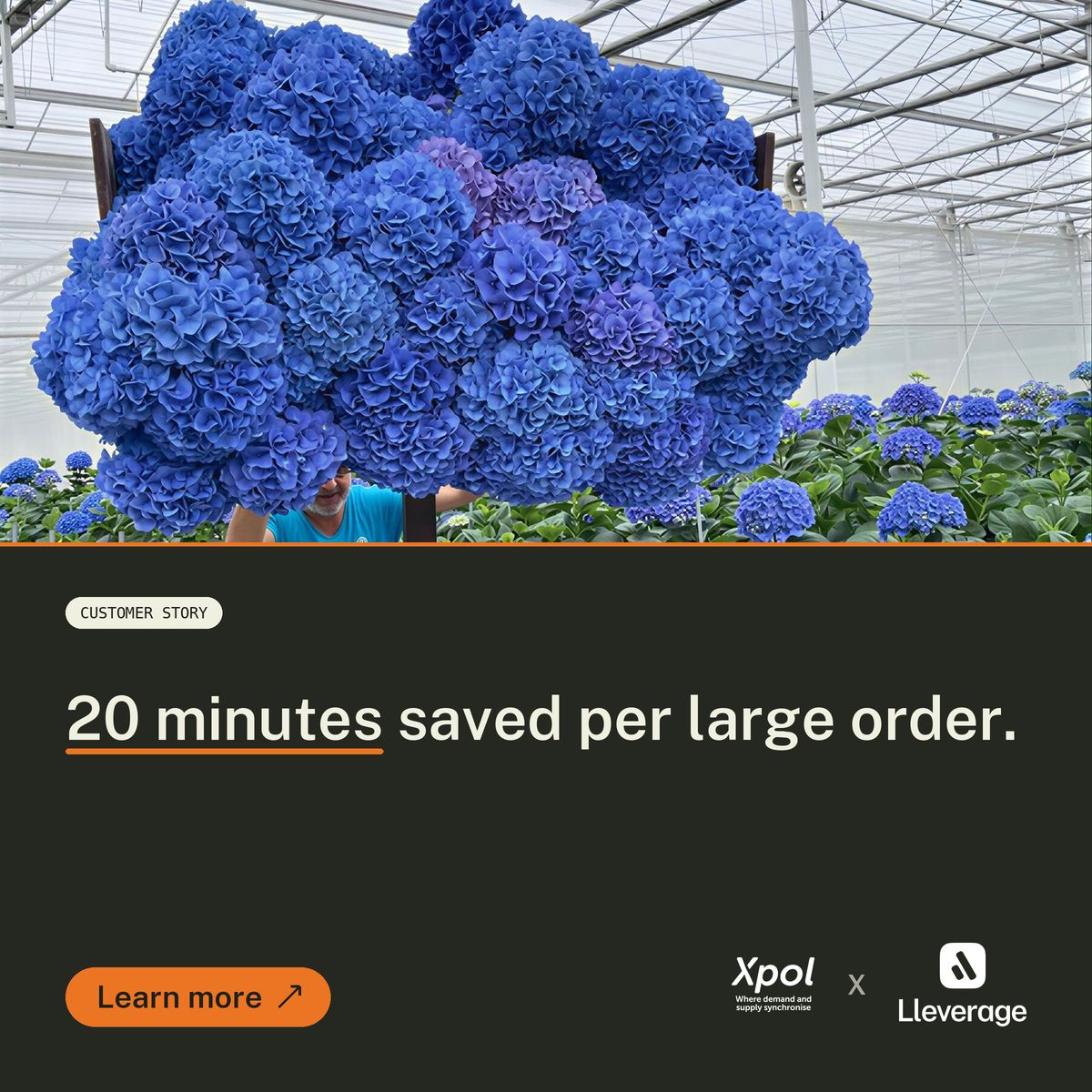 Lleverage ad