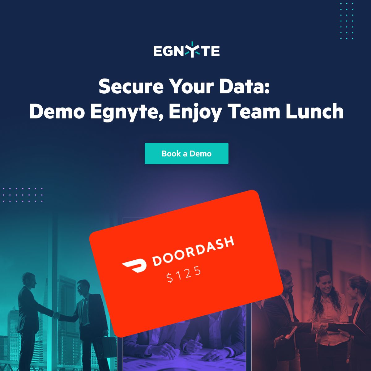 Egnyte ad