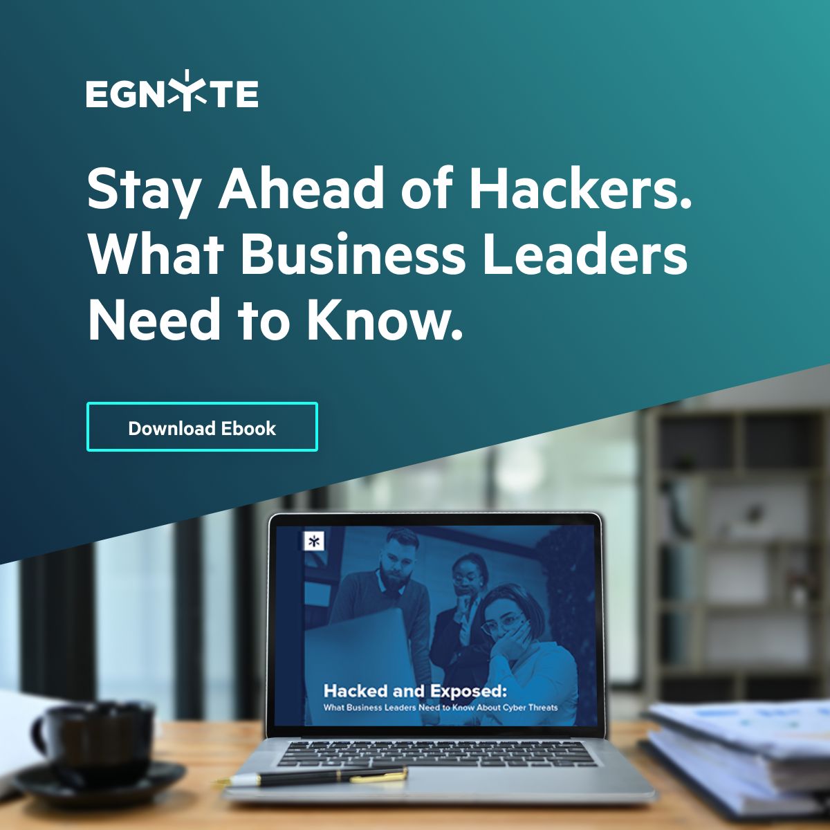 Egnyte ad