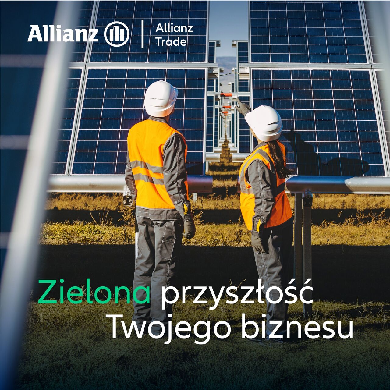 Allianz Trade in Poland ad