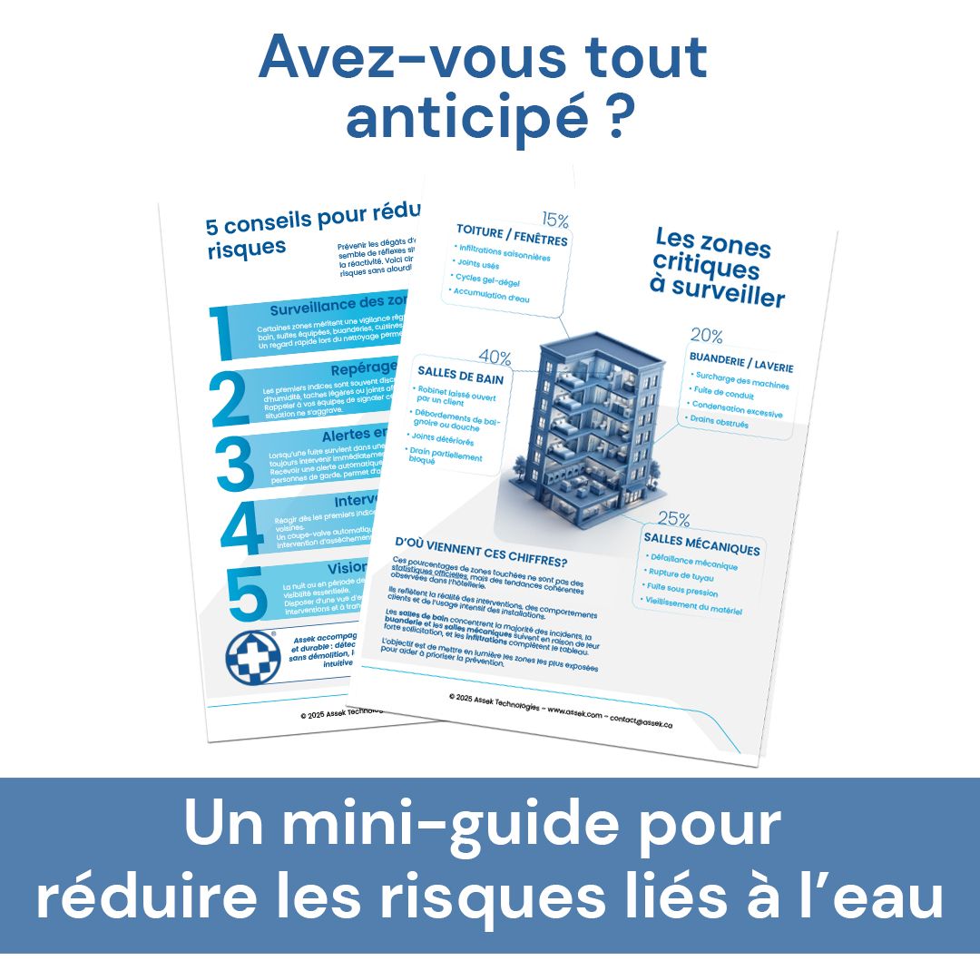 Assek Technologies ad