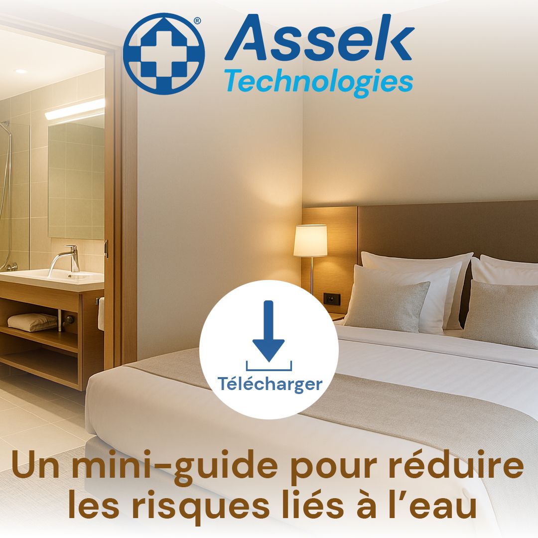 Assek Technologies ad