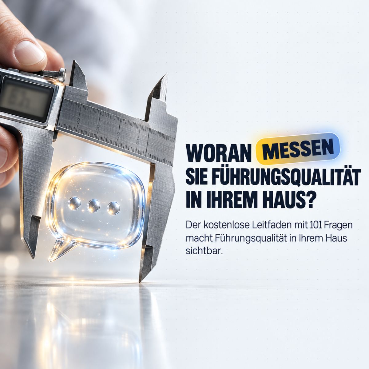 Führungs-und Organisationsentwickler FO-E ad