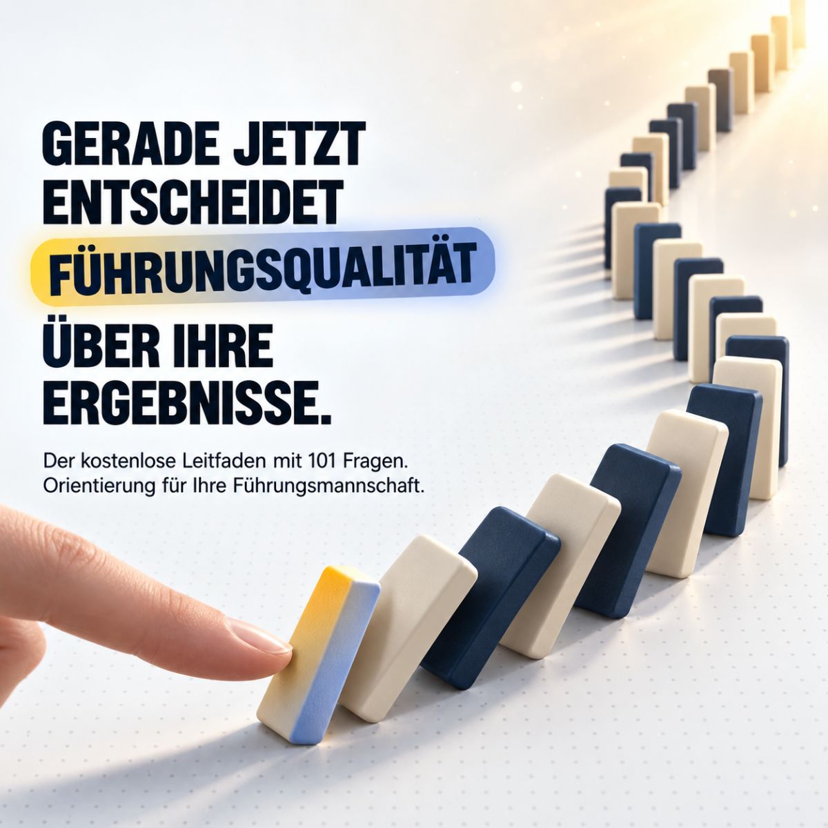 Führungs-und Organisationsentwickler FO-E ad