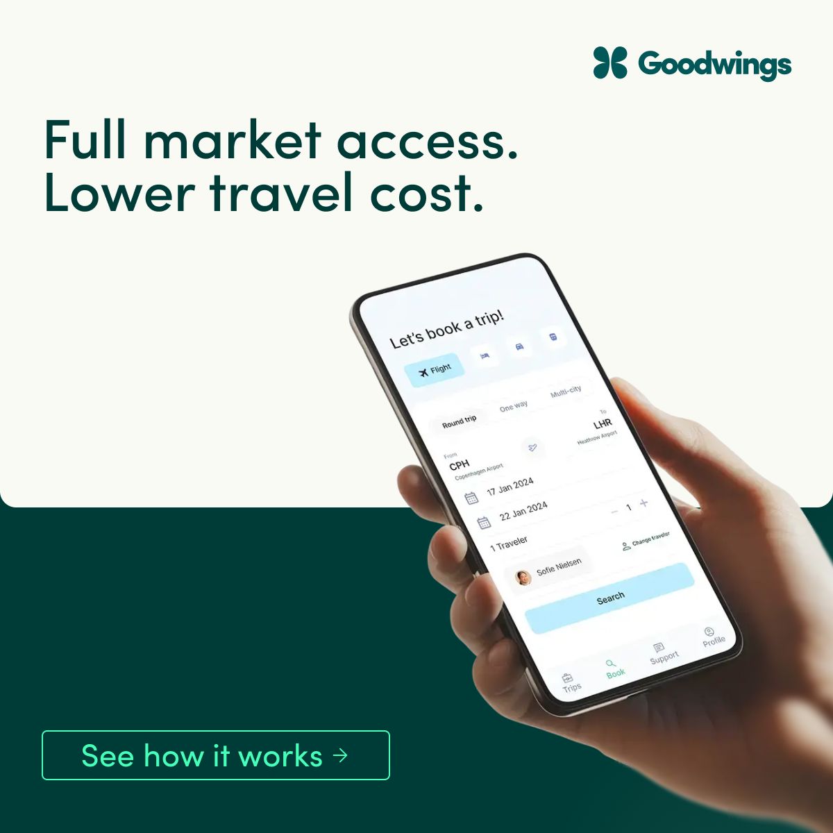 Goodwings ad