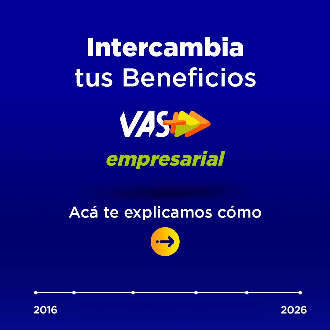Carretera VAS ad