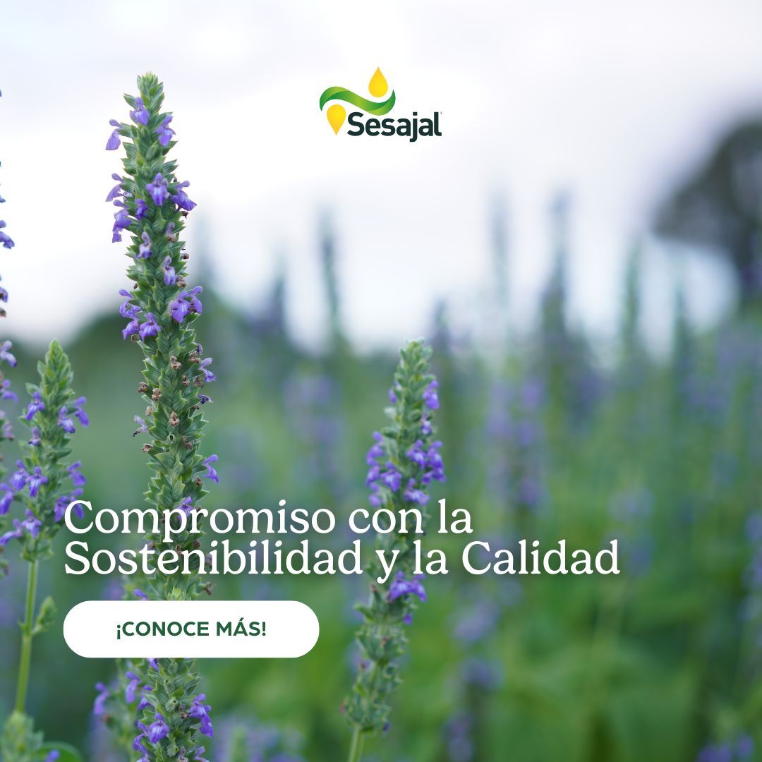 Grupo Sesajal® ad