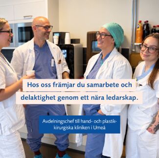 Region Västerbotten ad