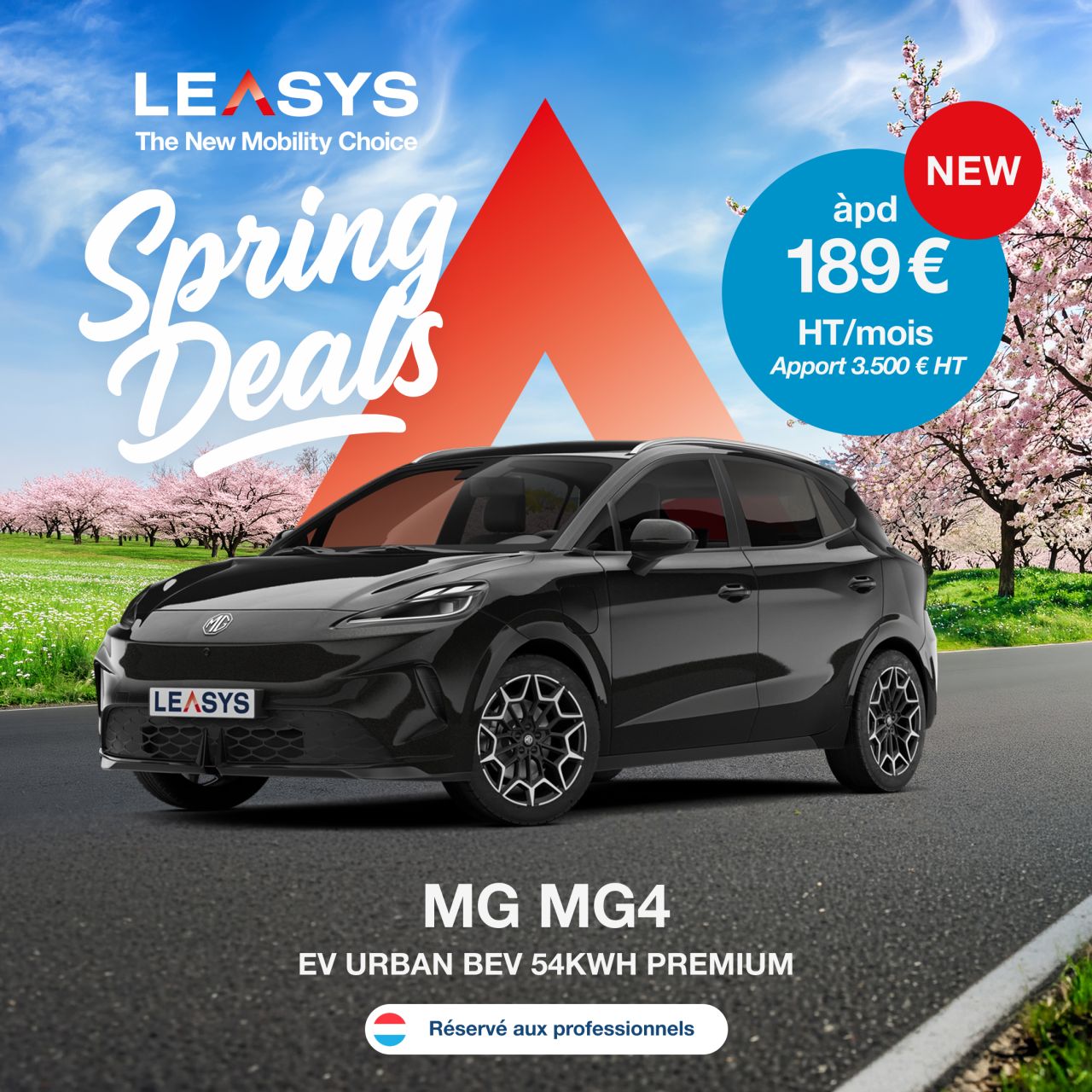 Leasys ad