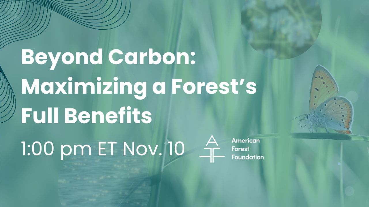 American Forest Foundation ad