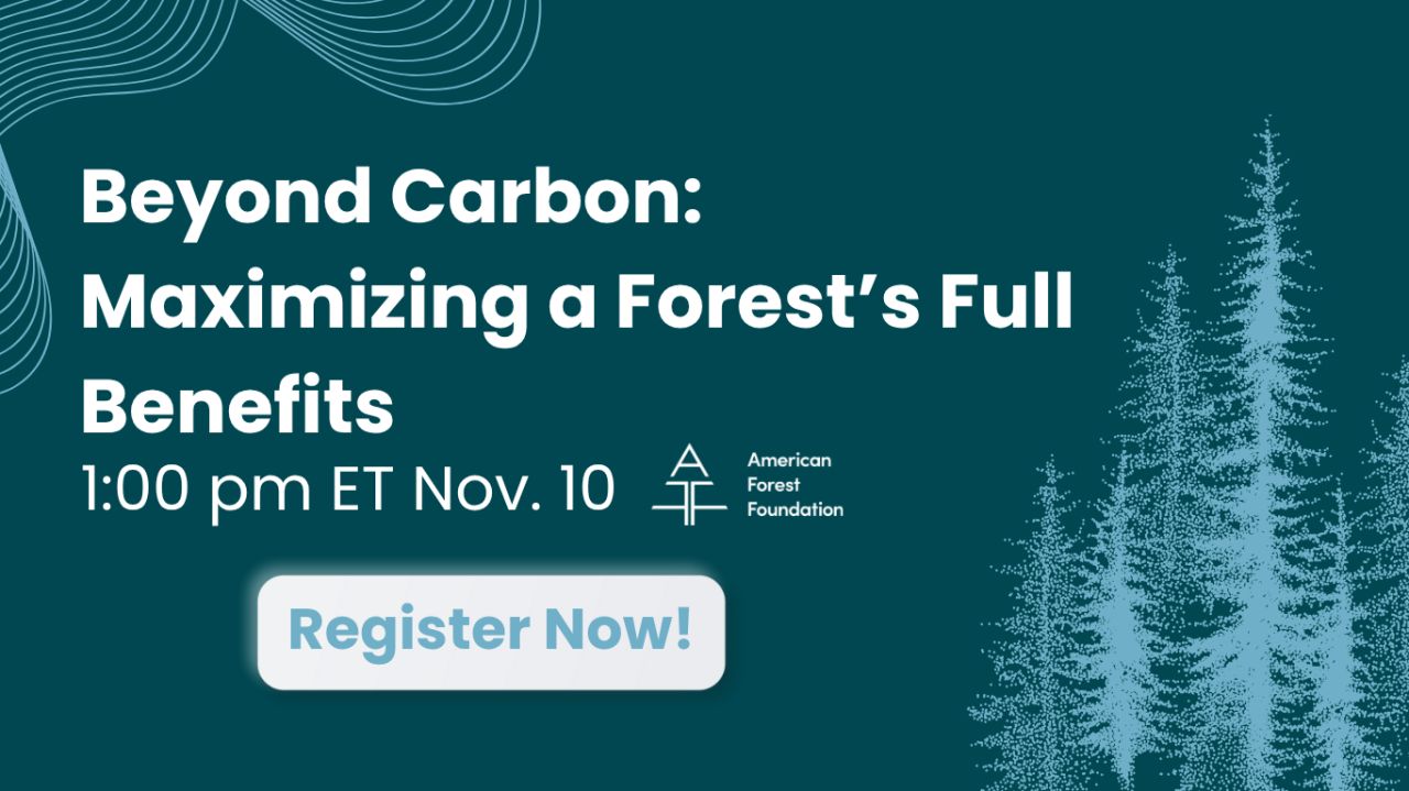 American Forest Foundation ad