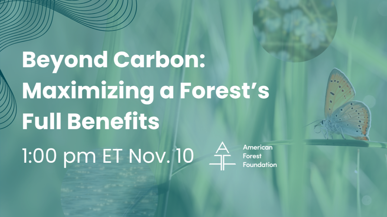 American Forest Foundation ad