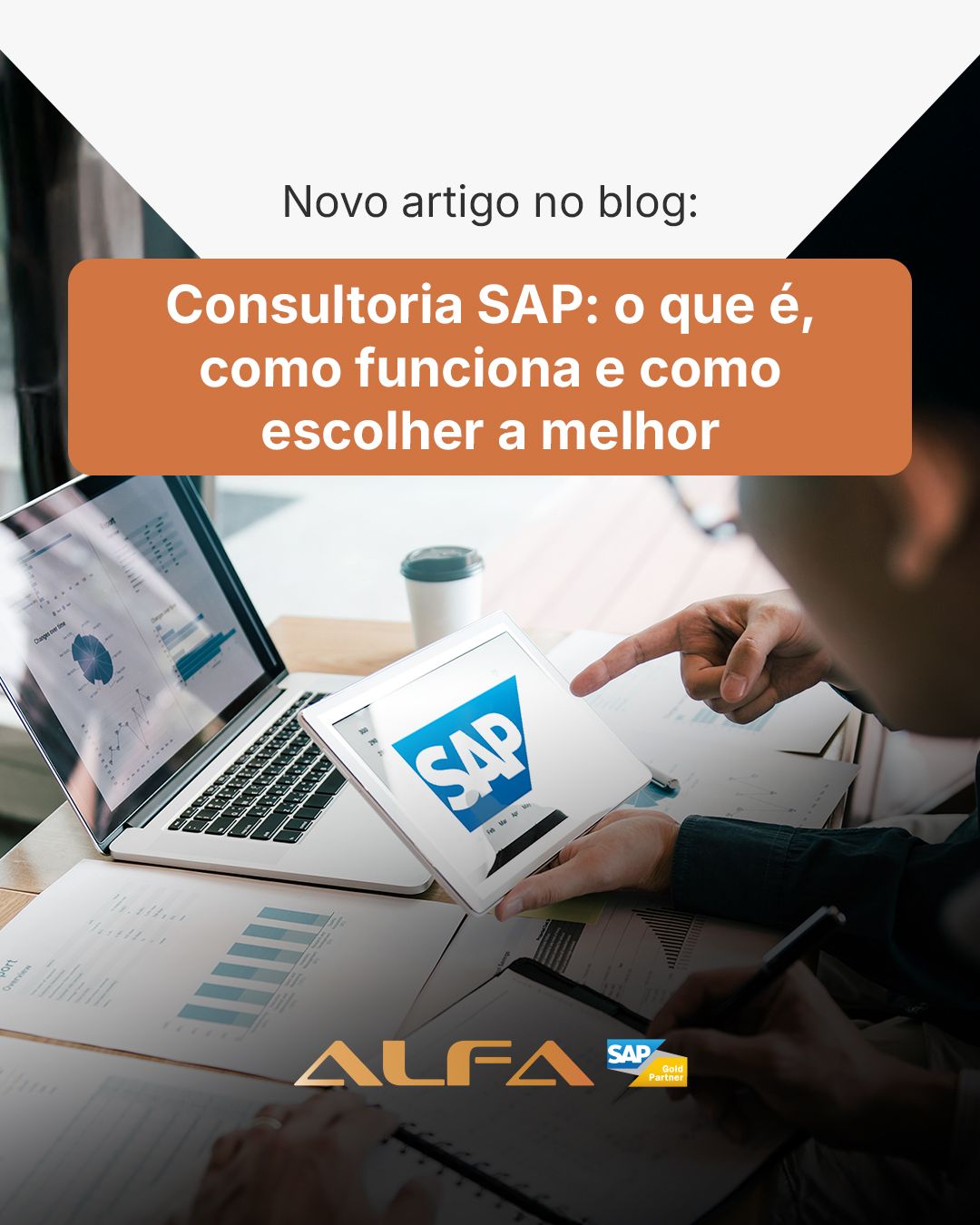 ALFA - Consultoria SAP, ERP, BPM e IA ad