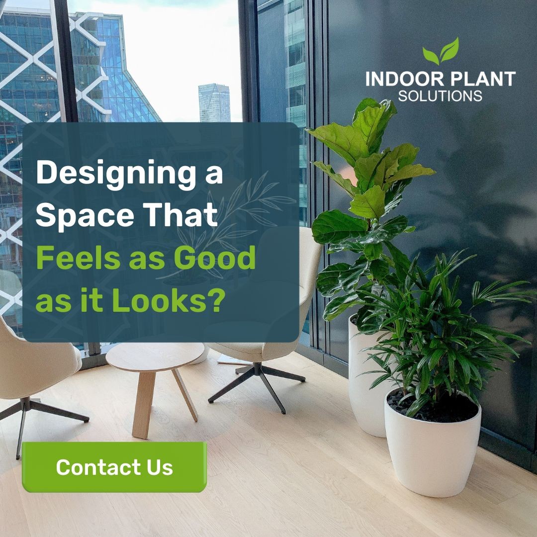 Indoor Plant Solutions ad