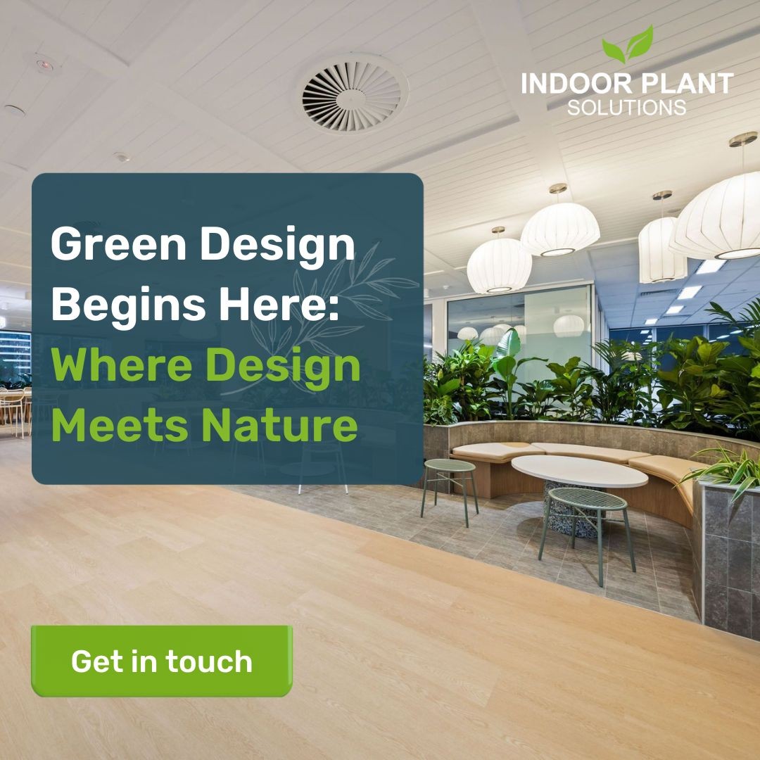 Indoor Plant Solutions ad