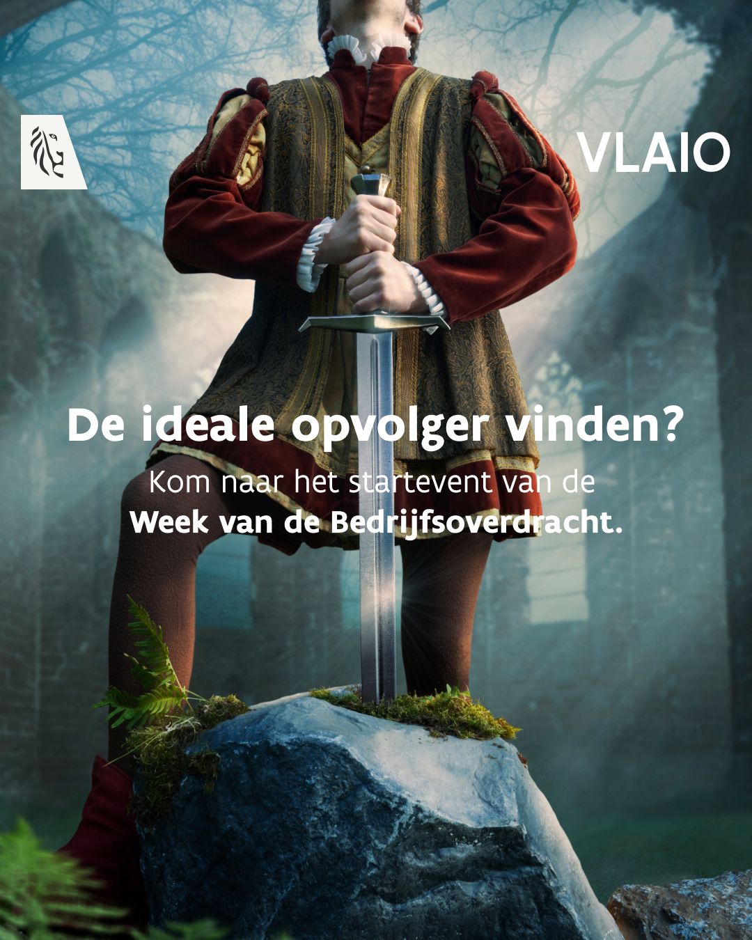 VLAIO - Flanders Innovation & Entrepreneurship ad