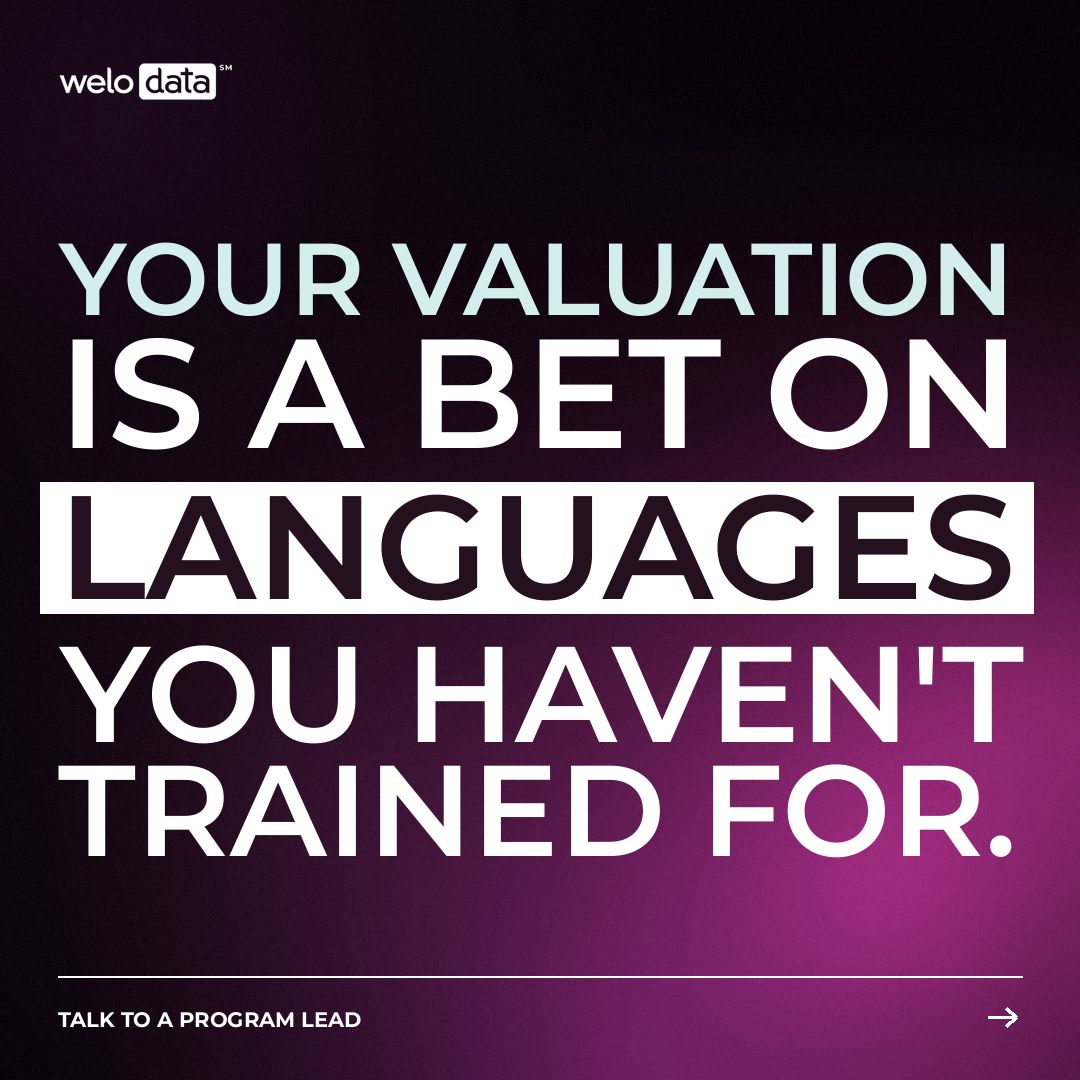 Welo Data ad