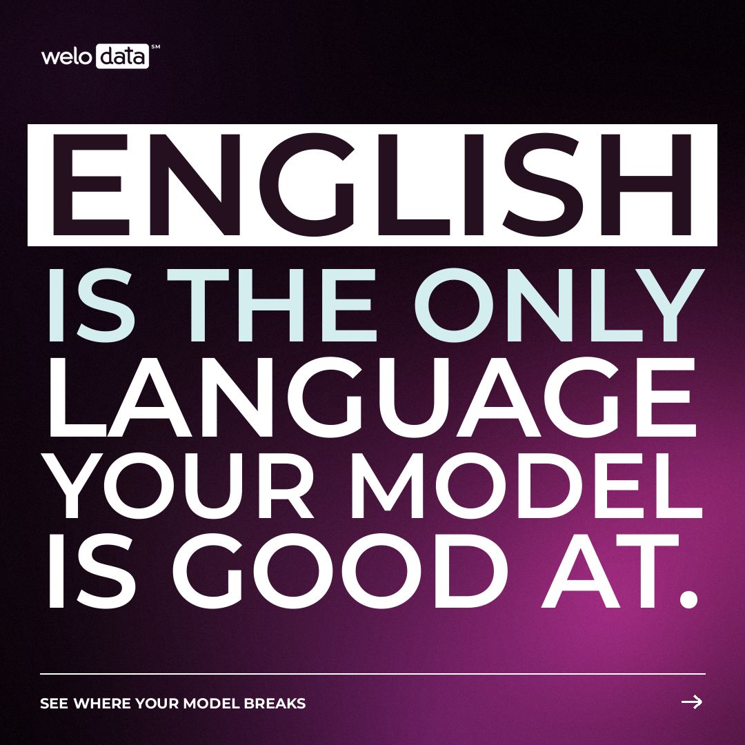 Welo Data ad