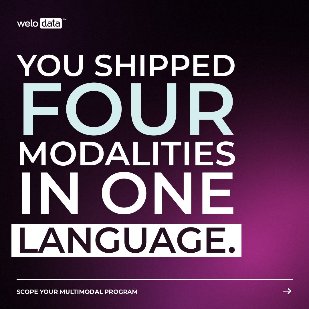 Welo Data ad