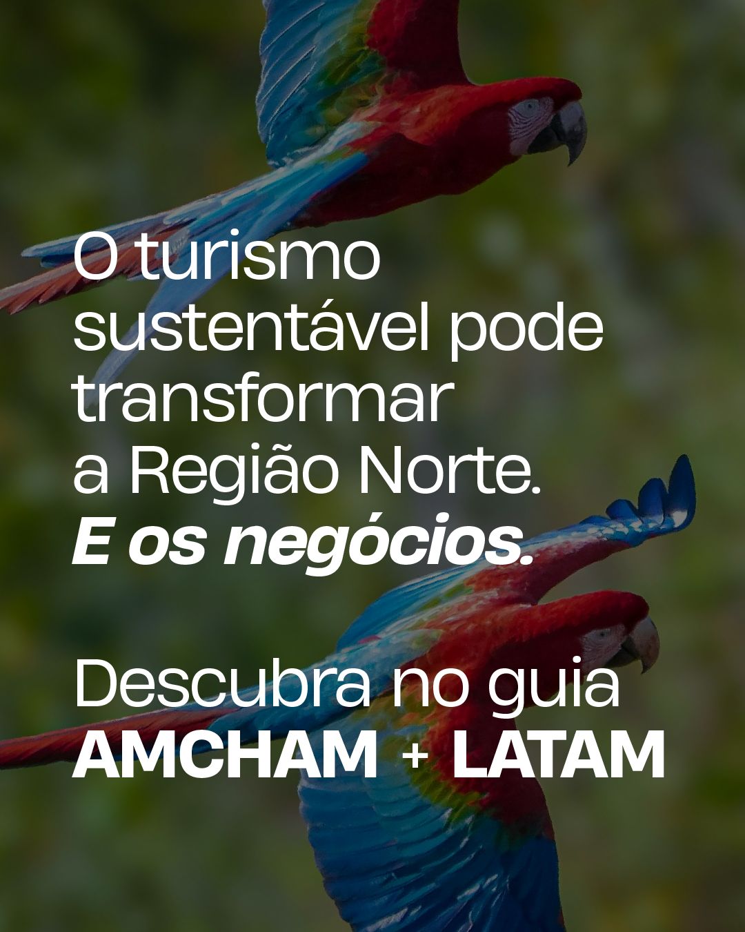 Amcham-Brasil ad