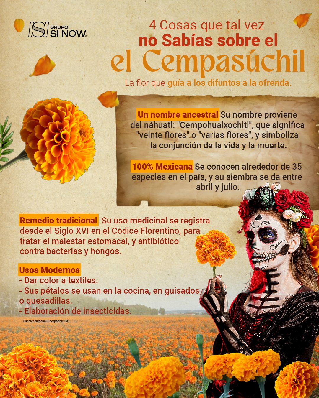 Grupo SI NOW Oficial ad