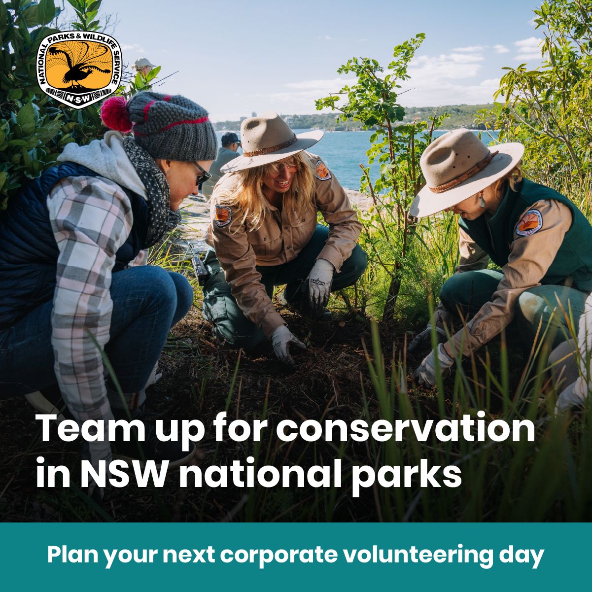 NSW National Parks and Wildlife Service ad