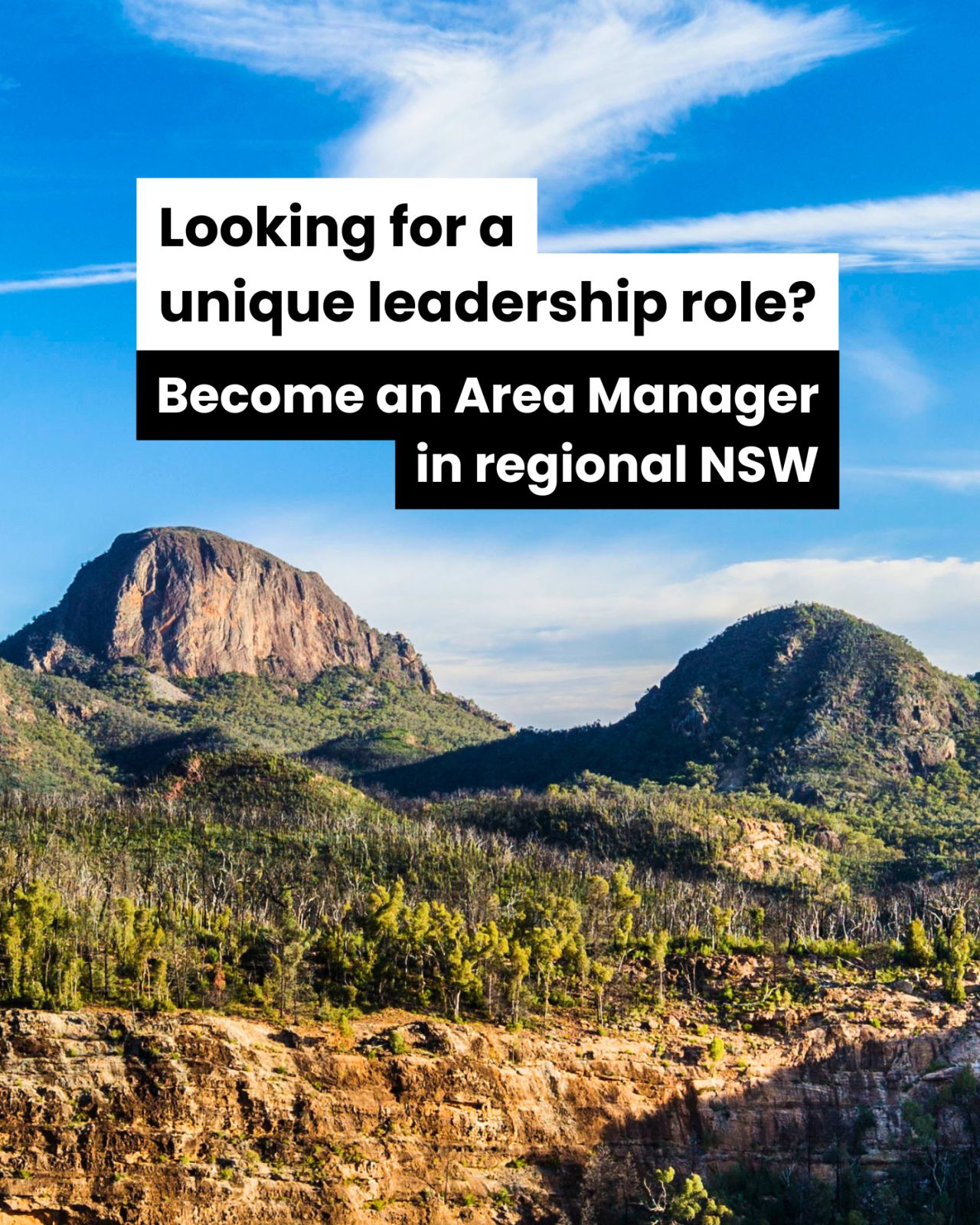 NSW National Parks and Wildlife Service ad