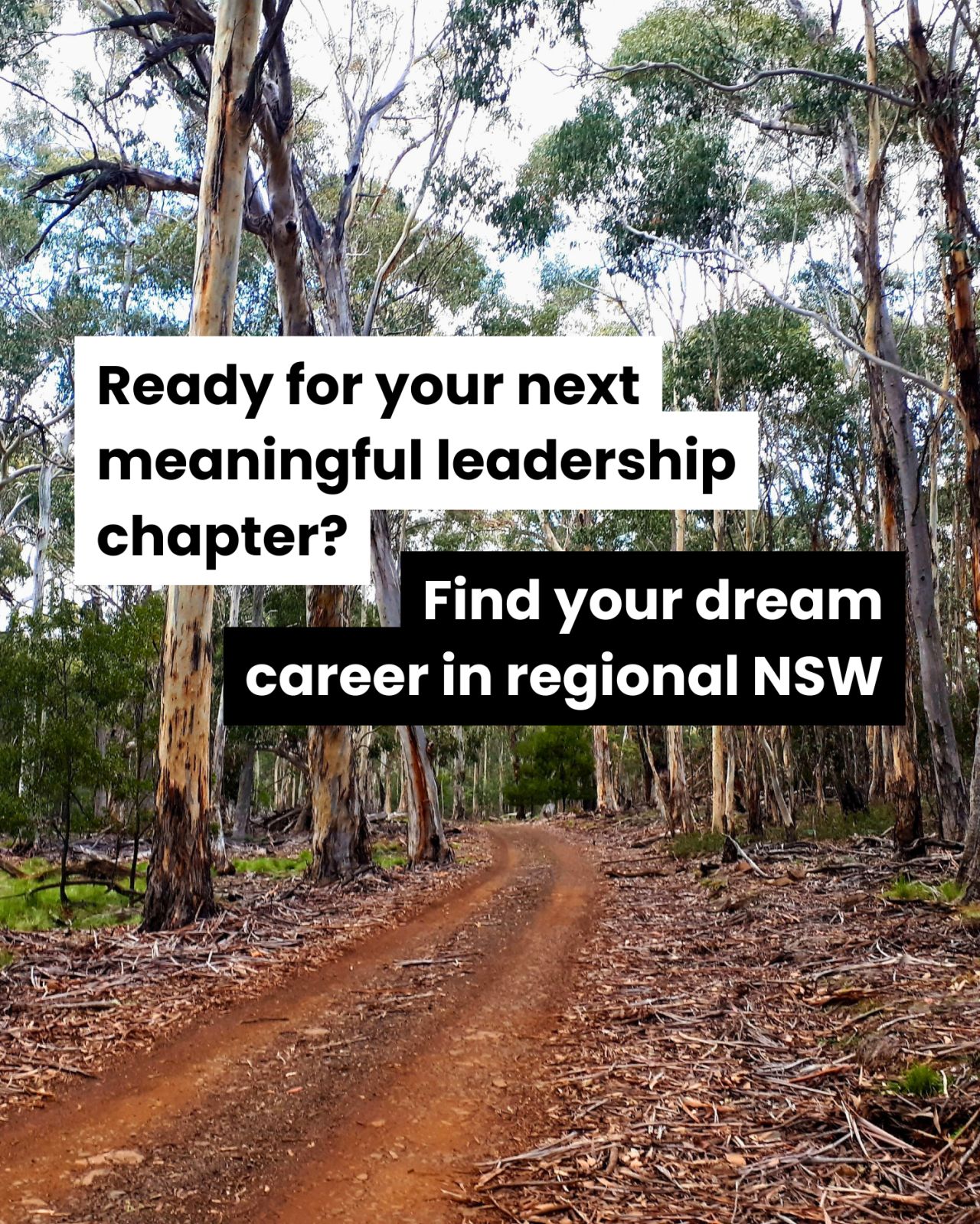 NSW National Parks and Wildlife Service ad