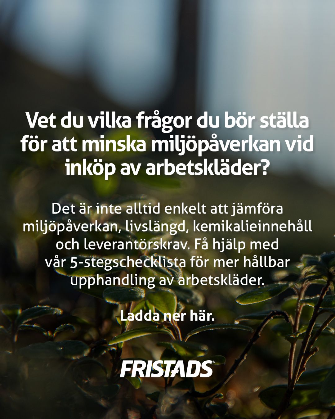Fristads AB ad