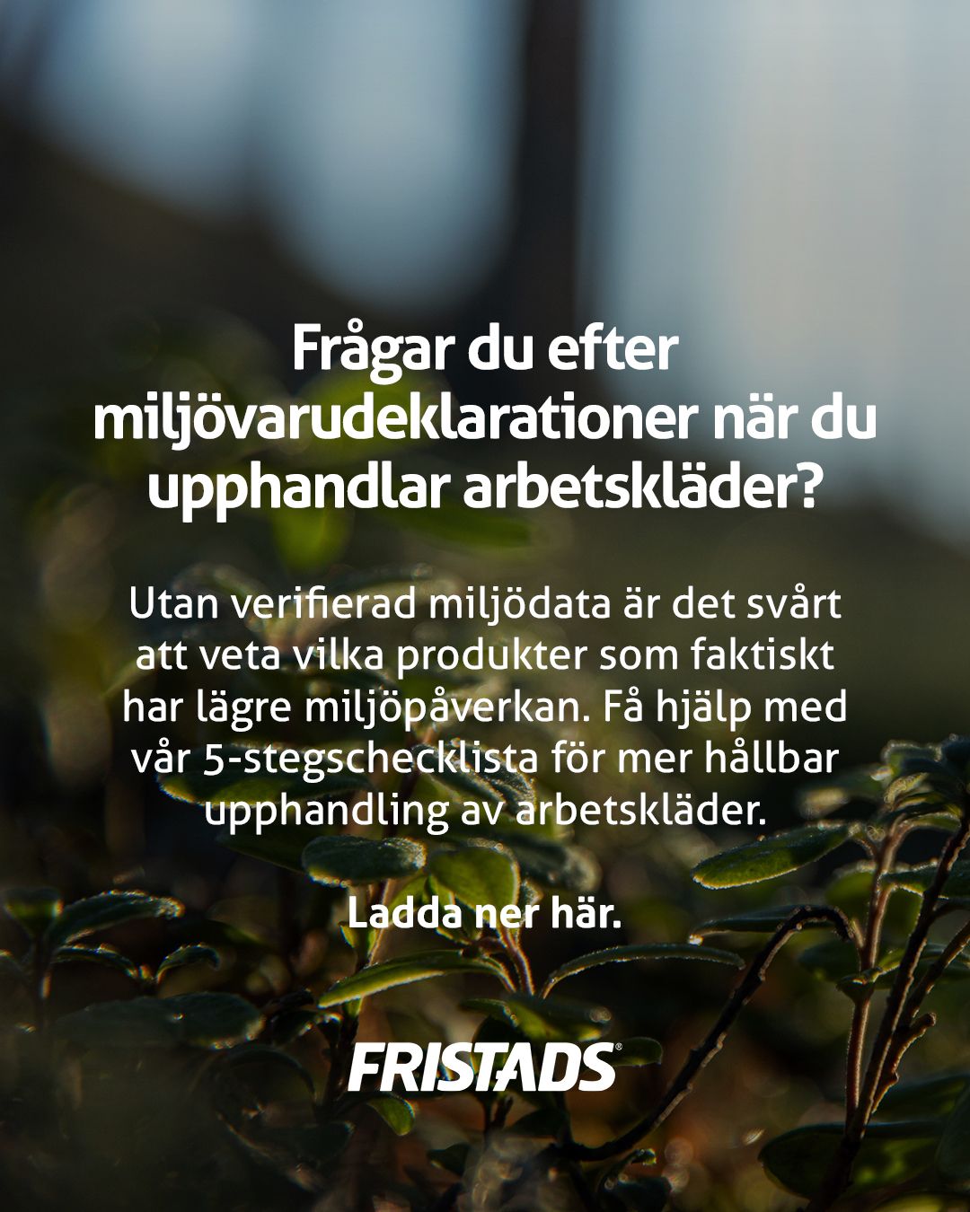 Fristads AB ad