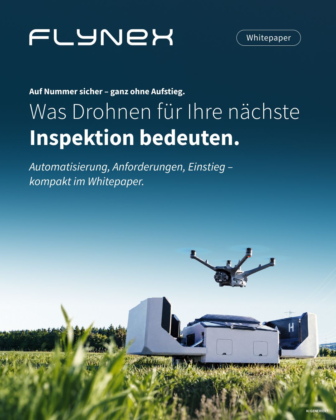 FlyNex ad