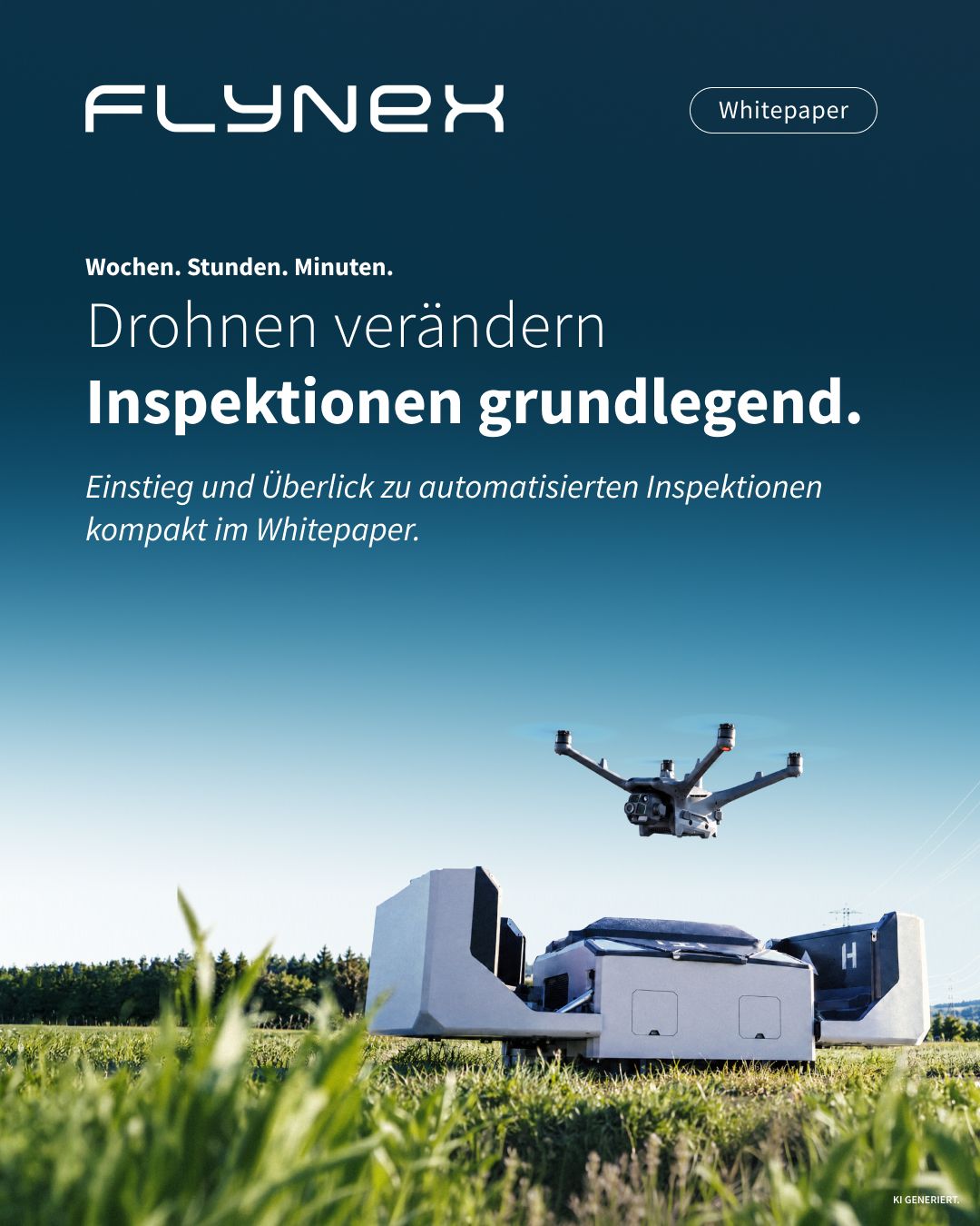 FlyNex ad