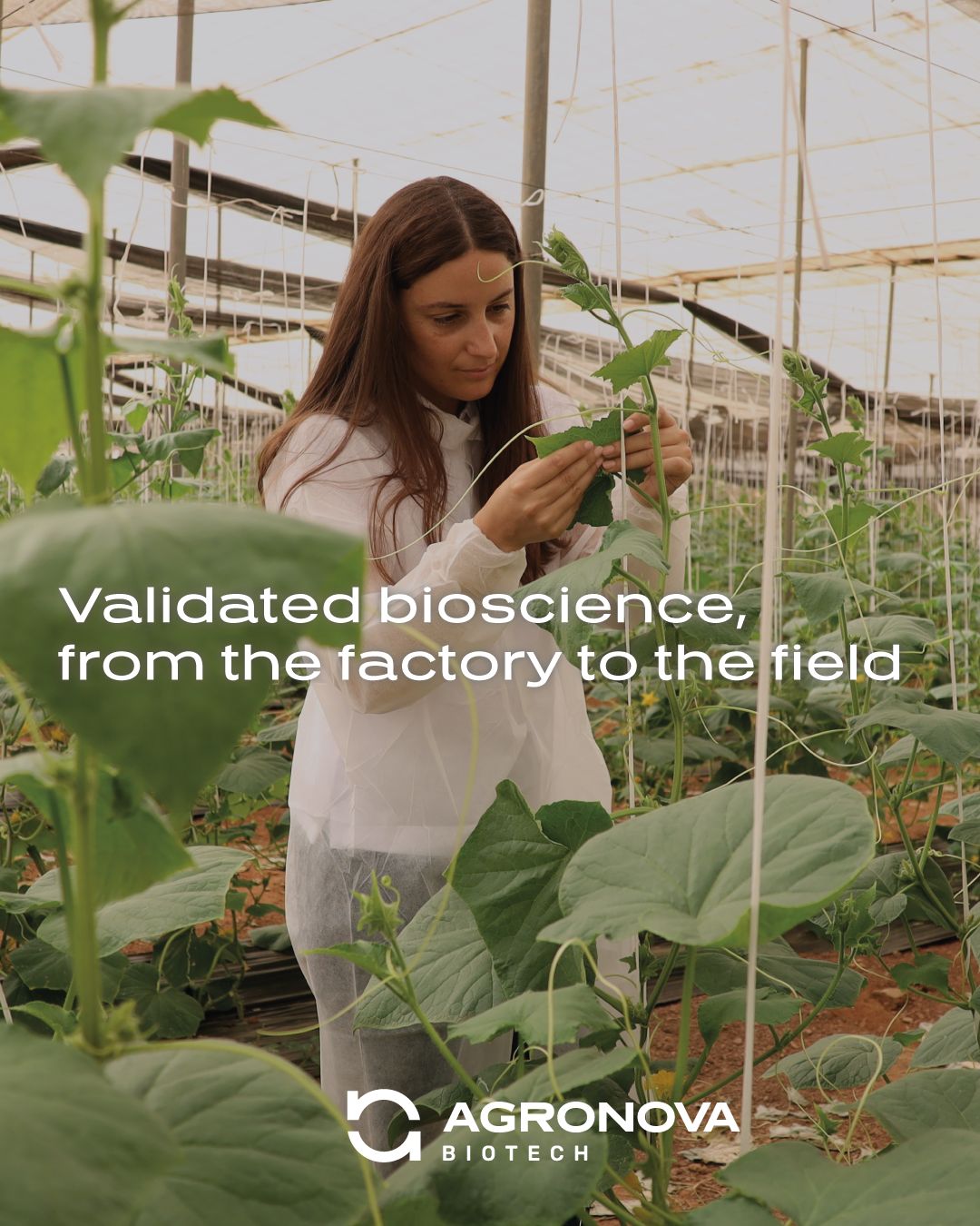 Agronova Biotech ad