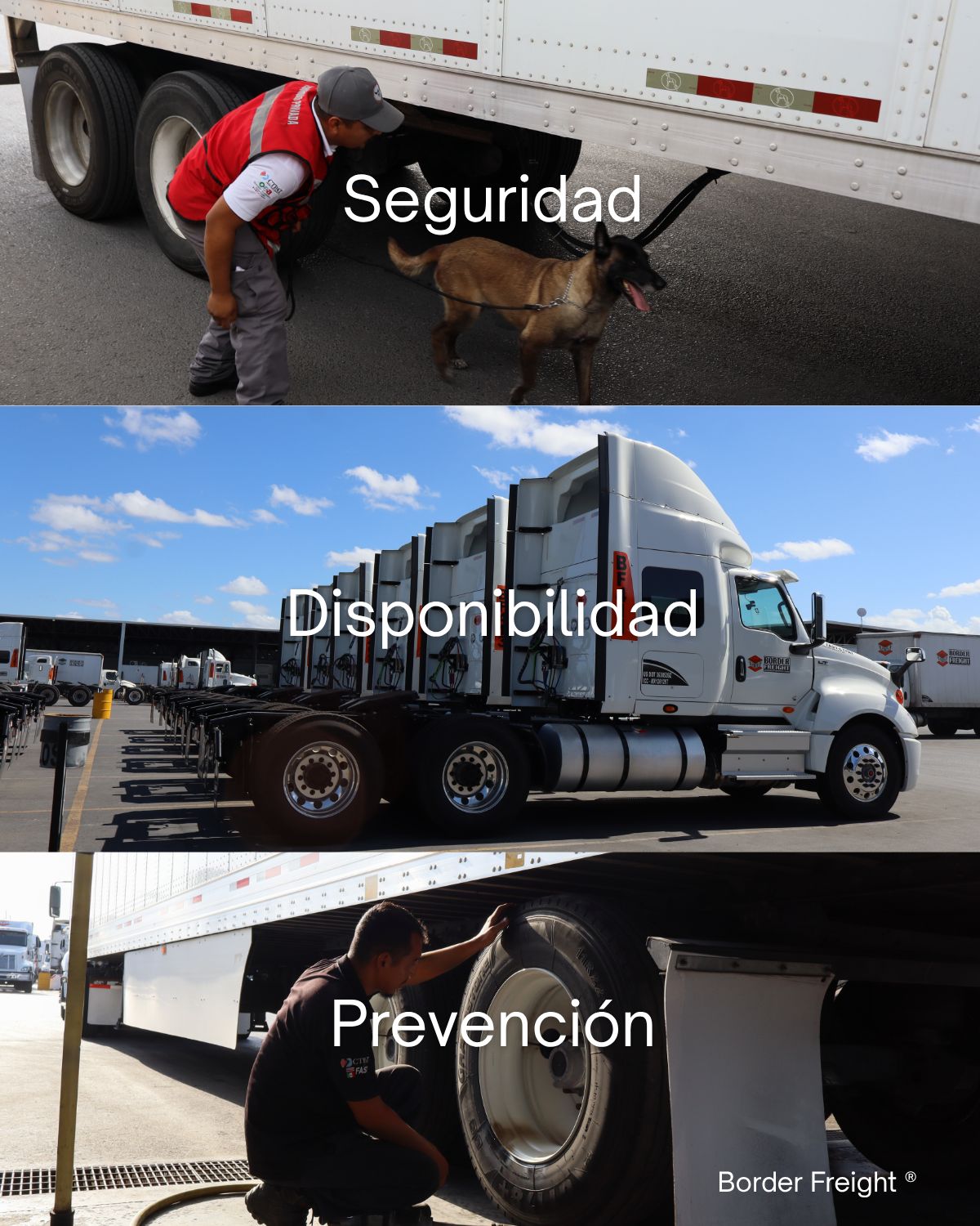 Border Freight ad