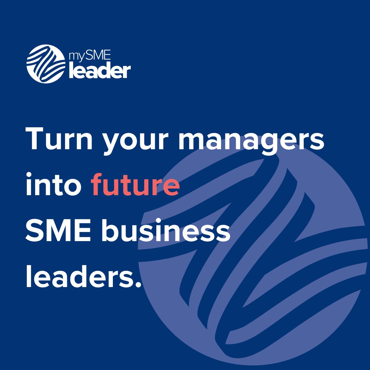 mySMEleader ad