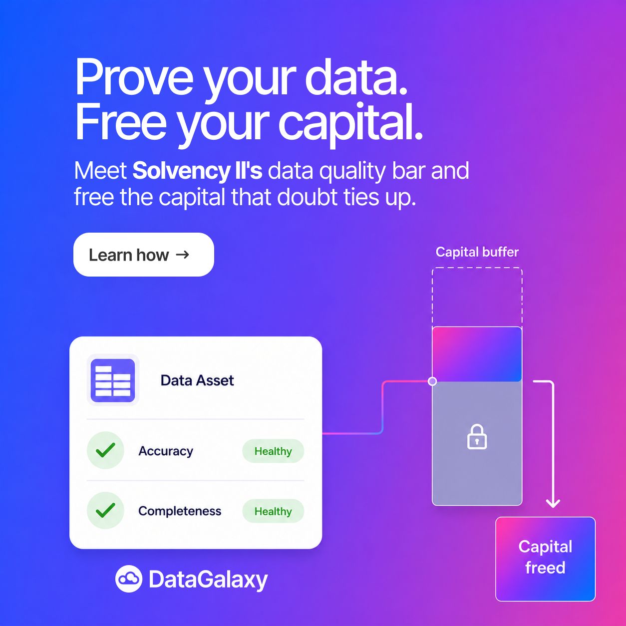 DataGalaxy ad