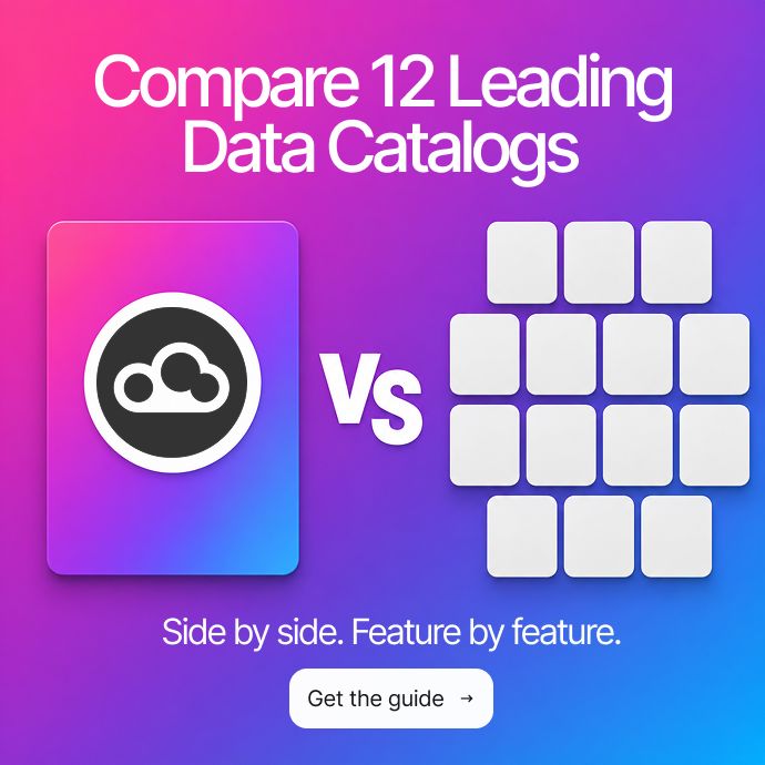 DataGalaxy ad