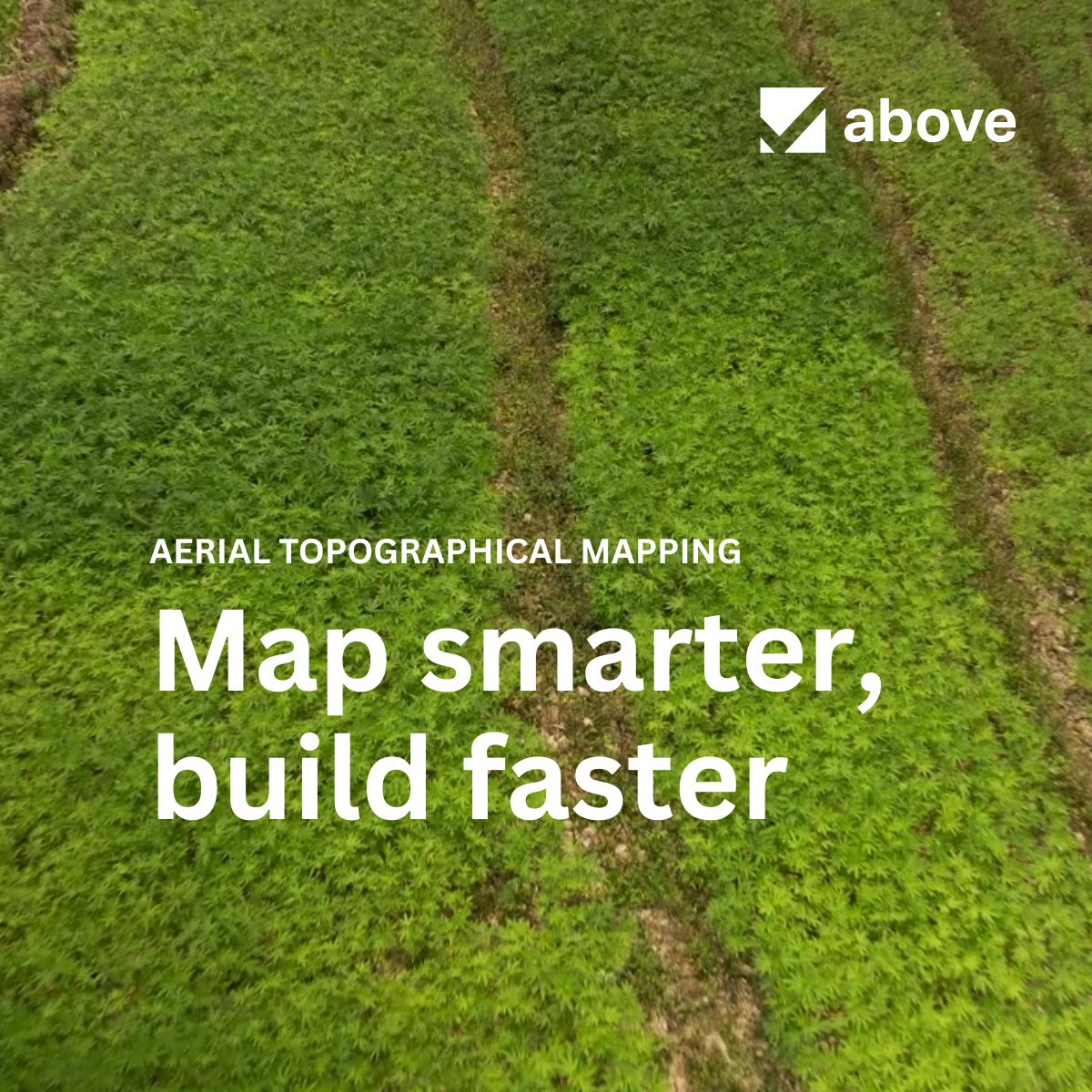 Above ad