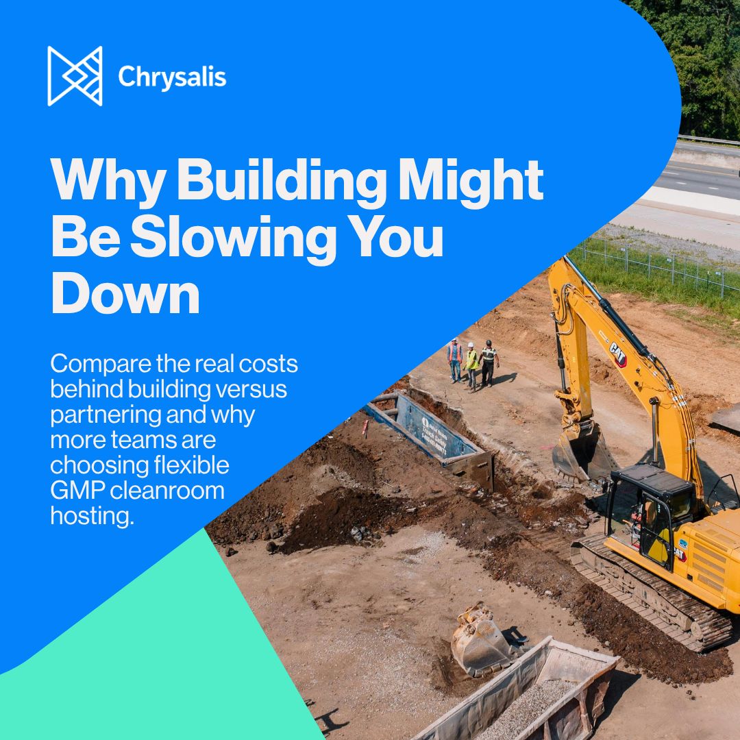 Chrysalis ad