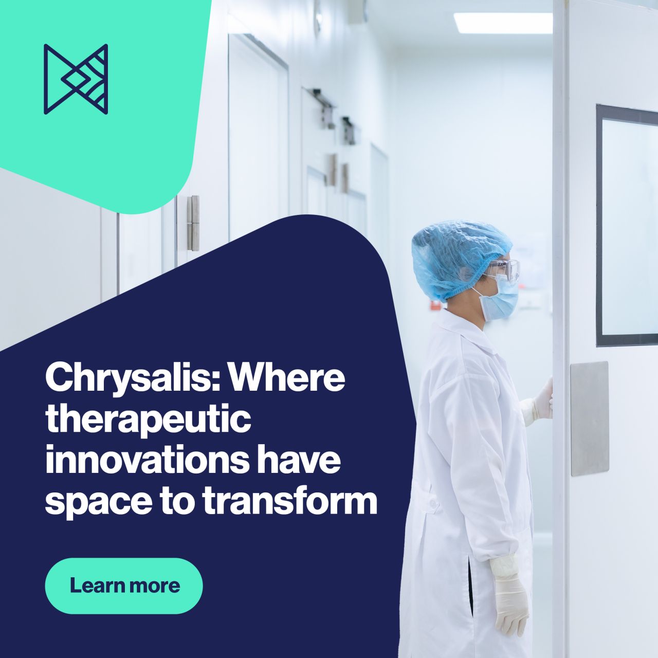 Chrysalis ad