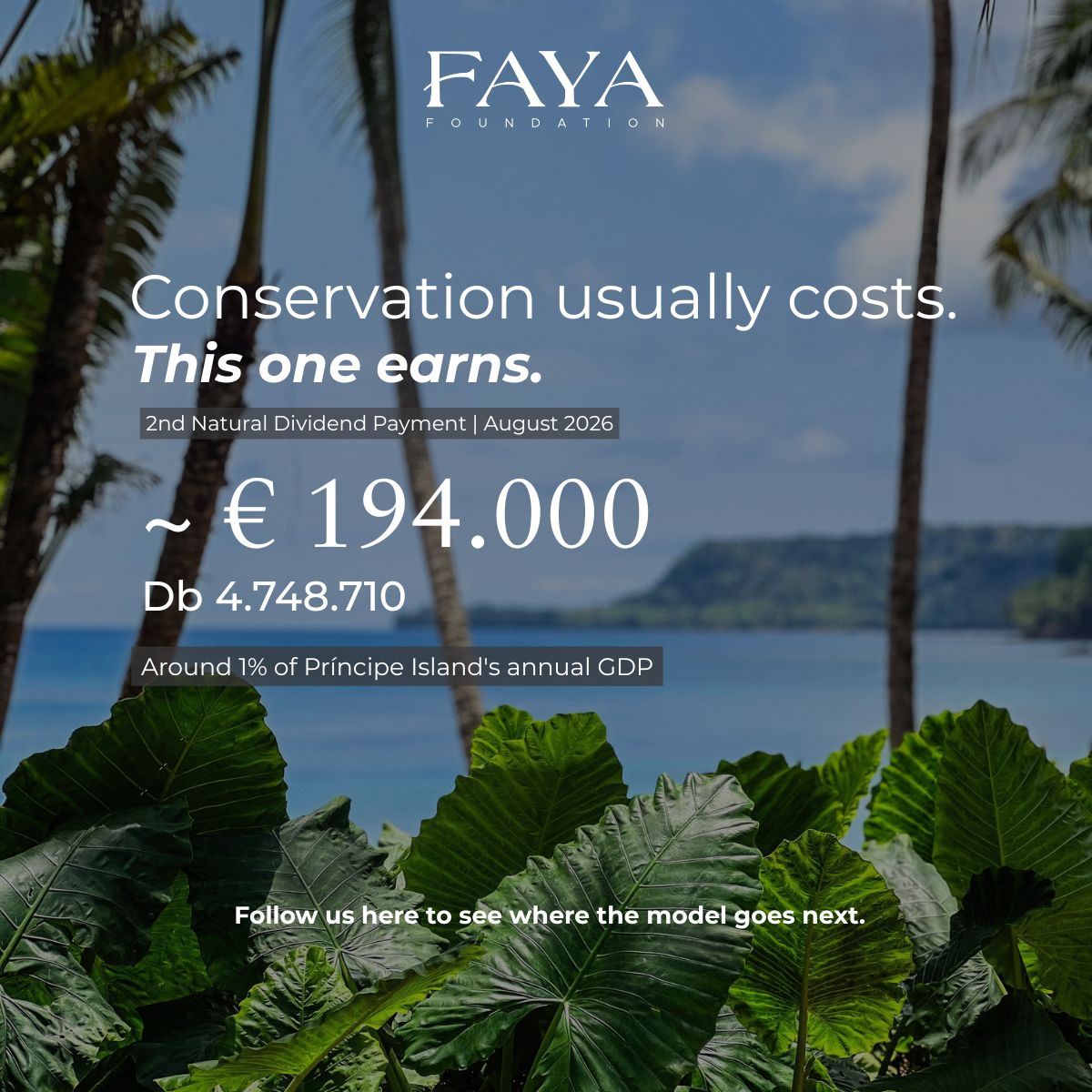 Faya Foundation ad