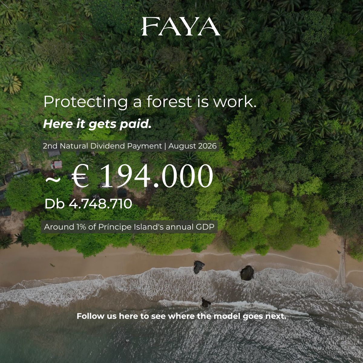 Faya Foundation ad