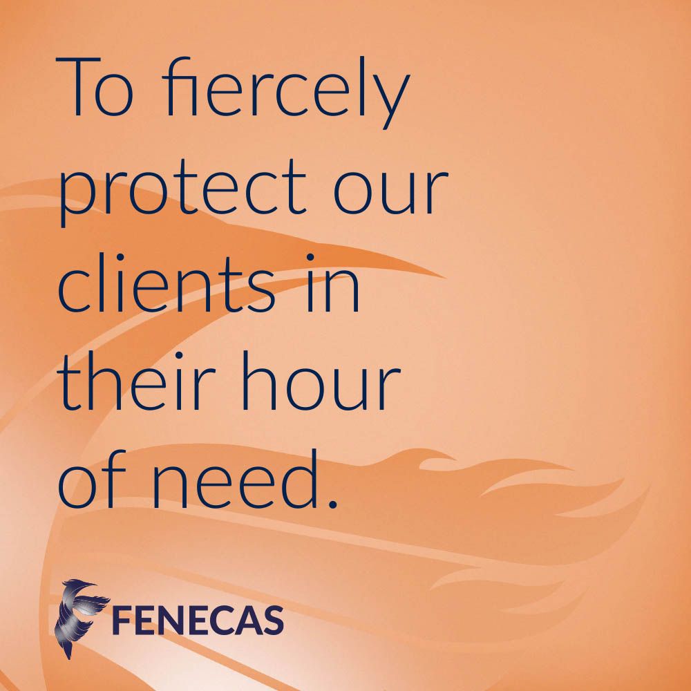 Fenecas Law ad