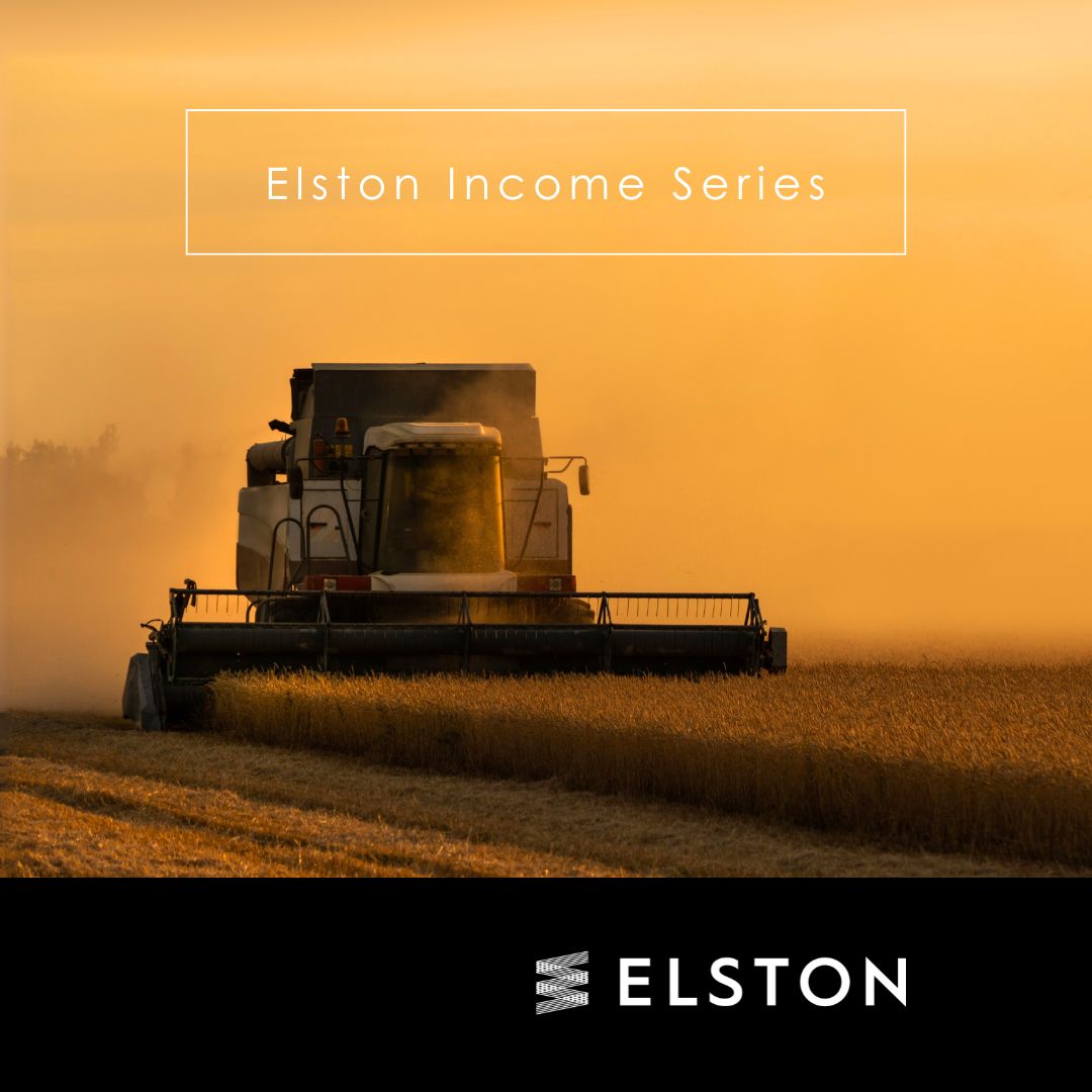 Elston ad